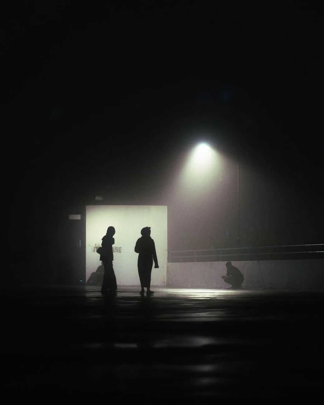 Two silhouettes standing apart under a streetlight on a foggy night