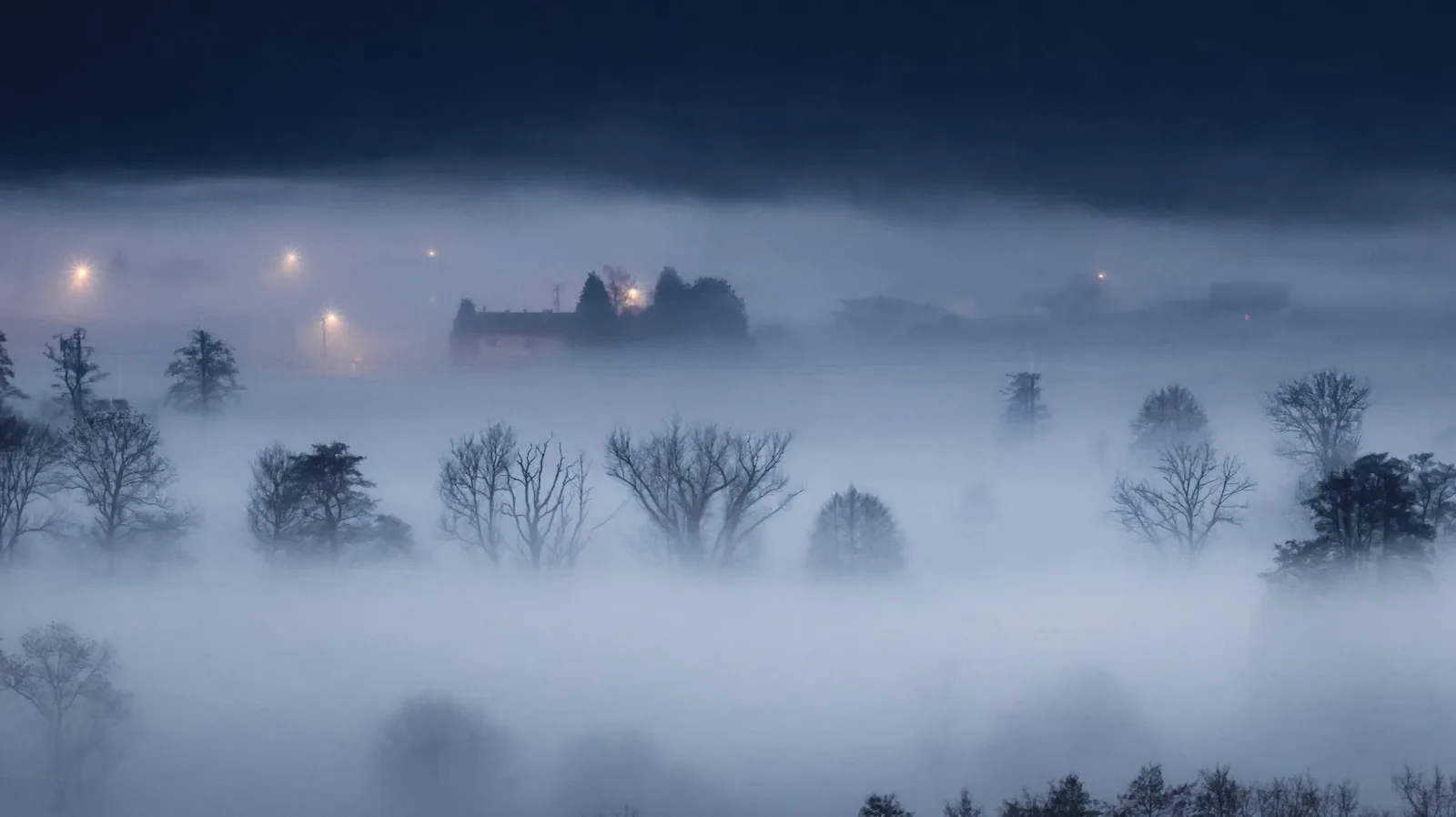 Distant lights glowing through misty trees at night