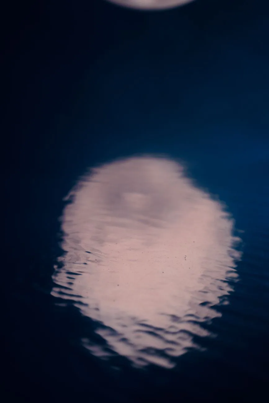 Moonlight reflected on still, dark water