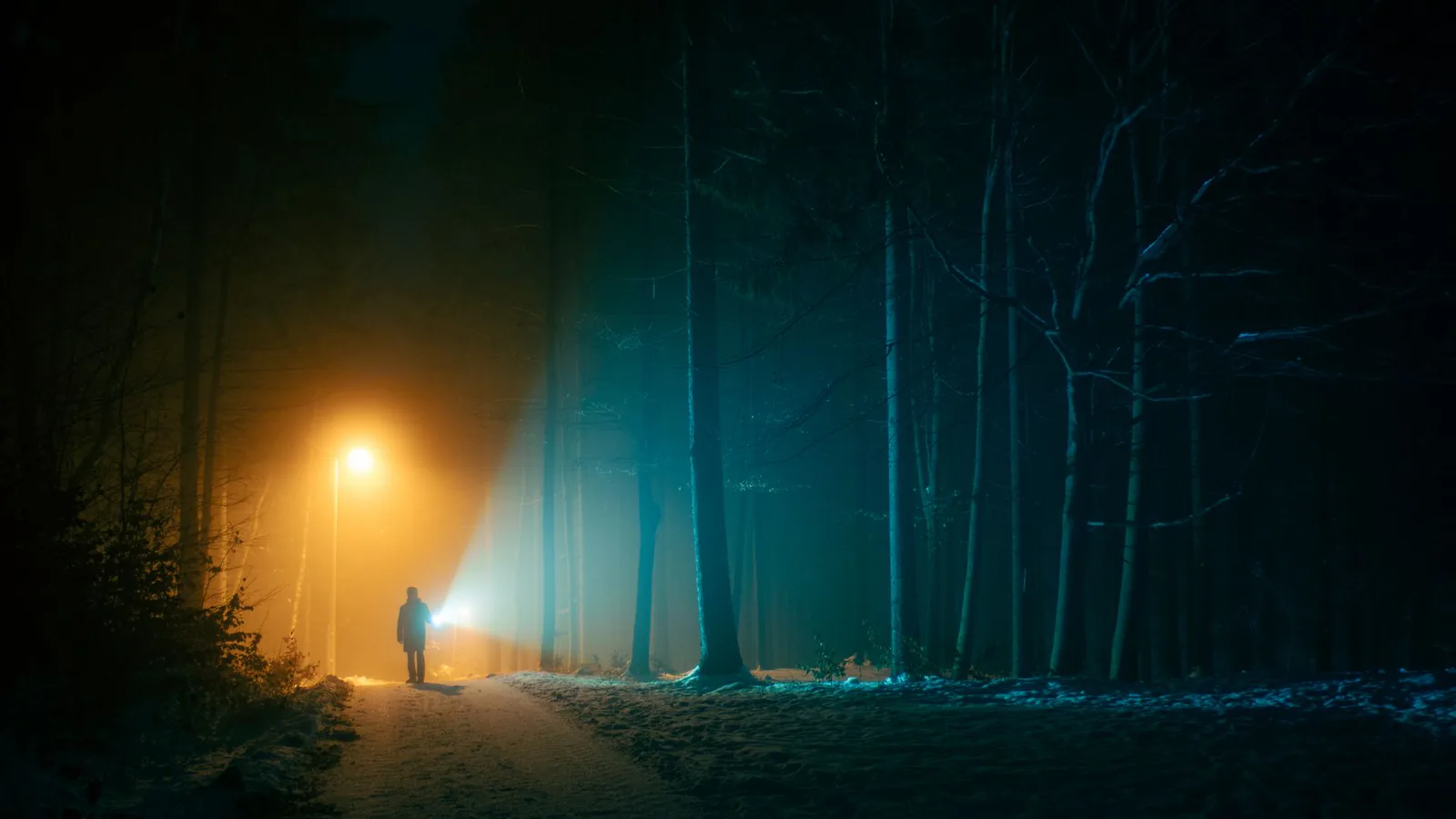 A lone figure in a foggy forest at night lit by faint lights